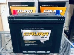 Caura. 80��.�., ��������, ������������ ����� ����