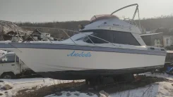 Yamaha SR-25. 1997 ���, ����� 7,8��., ��������� ������������, 600��.�., ������ ����