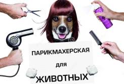 ������. ����� ����. �������� ���� 32 ����