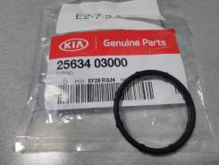     Hyundai-KIA 2563403000 2563403000 