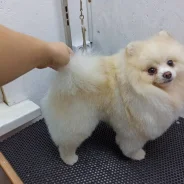 �������. ����