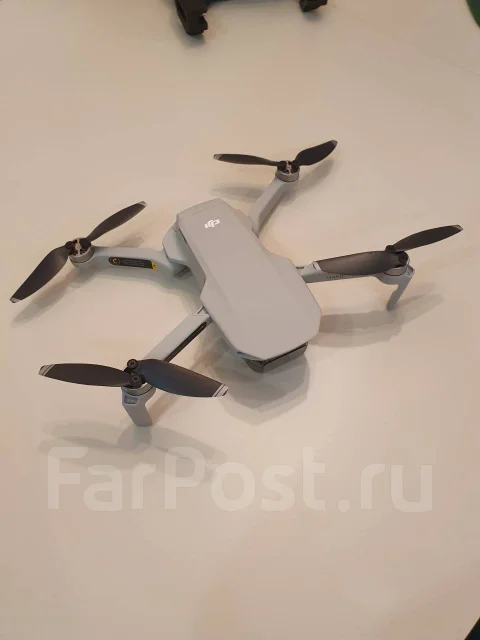 DJI Mavic Mini. � ������� ����