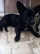 ������. ����