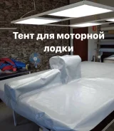 �����. ����