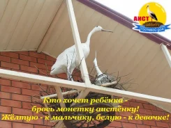 ������, ����. ������� �����. ����� �� ���� ���� �. ���� ����