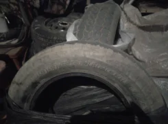 Trayal. ������, 2016 ���, �/�, ����� 40�% ����