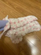 ����. ����