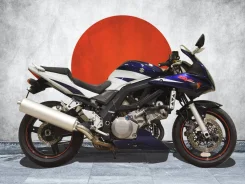 Suzuki SV 1000. 1 000����. ��., ��������, ���, ��� �������. ��� ����� �� ���������� ����