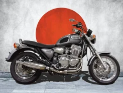 Triumph Thunderbird. 900����. ��., ��������, ���, ��� �������. ��� ����� �� ���������� ����