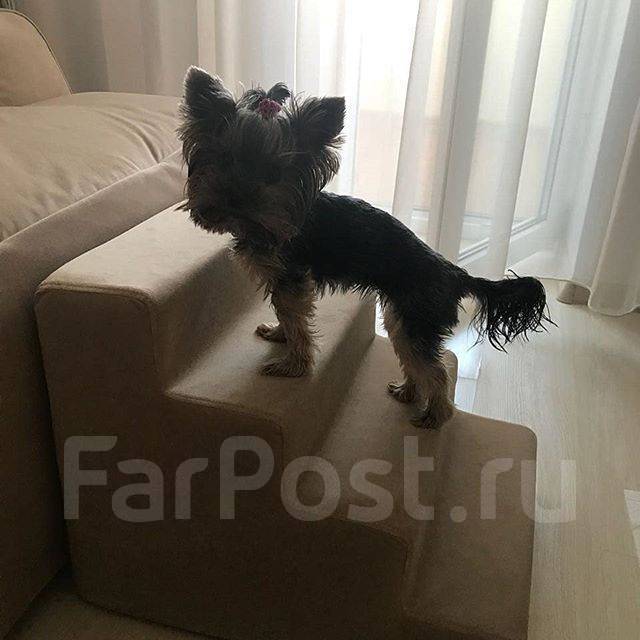 Изготовление декоративных подушек и матрасов на диваны. Пошив чехлов во ...