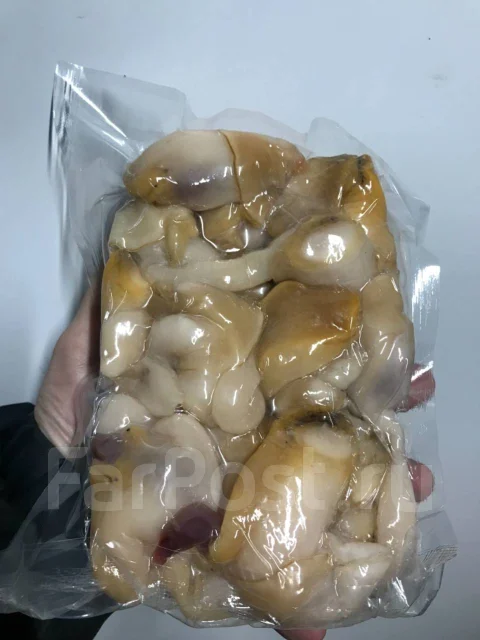 ������. ����