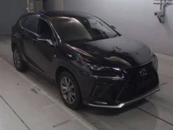 Lexus NX200t. �������, 4wd, 2.0 (238��.�.), ������, 56 000����. ��, �/�. ��� ����� �� ������������ ����