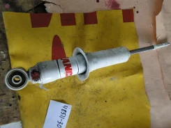 ����������� rs999202 ����