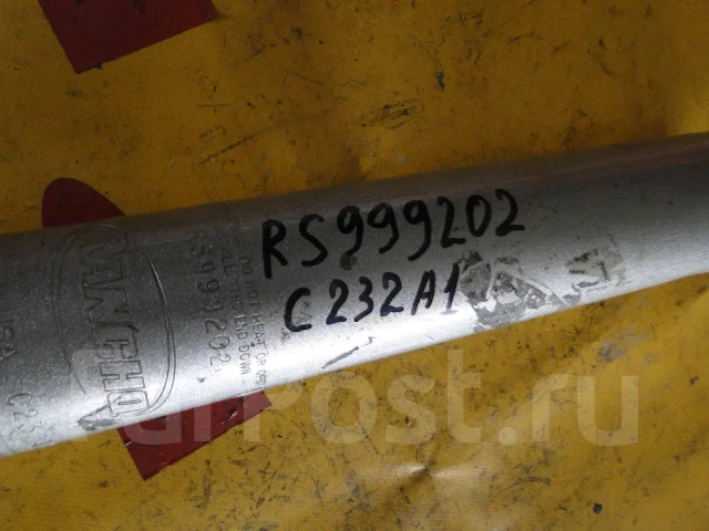 ����������� rs999202 ����