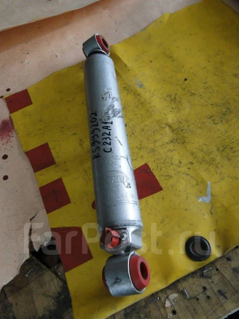 ����������� rs999202 ����