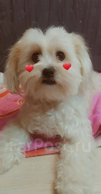 ��-���. ����