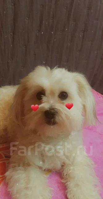 ��-���. ����