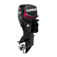Evinrude. 75��.�., 2-�������, ����������, ���� L (508 ��), 2016 ��� ����