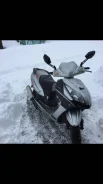 Irbis Nirvana. 150����. ��., ��������, ���, � �������� ����
