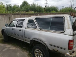 Great Wall Deer. 491 ����
