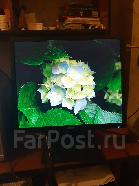 Acer. 19" ����
