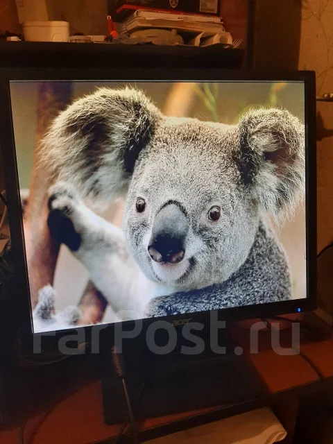 Acer. 19" ����