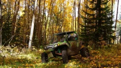 Polaris Ranger RZR S 800. ��������, ���� ���\���, � �������� ����