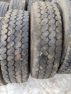 TyRex. �����������, 2020 ���, �/�, ����� 40�% ����