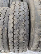 TyRex. �����������, 2020 ���, �/�, ����� 30�% ����