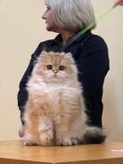 �������.