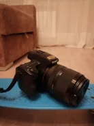 Sony Alpha SLT-A37. 15 - 19.9 ��, ���: 14� � ����� ����