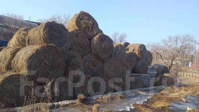 Сено в рулонах, с/х животных, в наличии. Цена: 1 500₽ в Уссурийске
