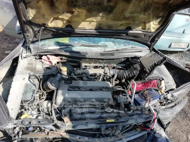 Nissan Primera Camino ����