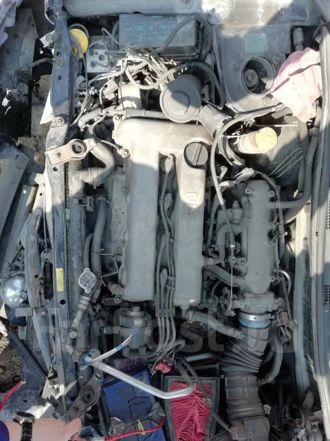 Nissan Primera Camino ����