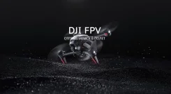 DJI FPV. � �������. ��� ����� �� ������������ ����