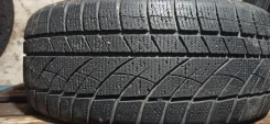 Evergreen. ������, ��� �����, �/�, ����� 20 % ����