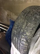 WinRun. ������, 2019 ���, �/�, ����� �� 5�% ����