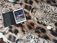Apple iPad Air 2 ����