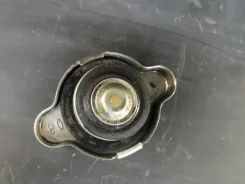 ������ ��������� ����