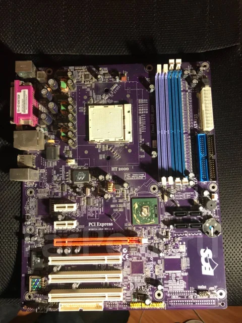 AMD ����