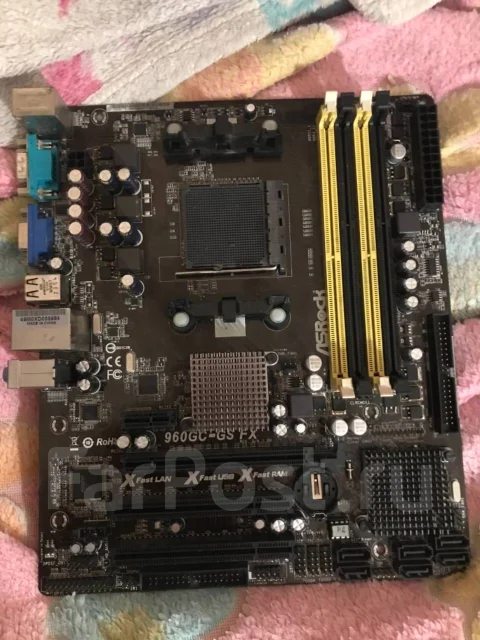AMD ����