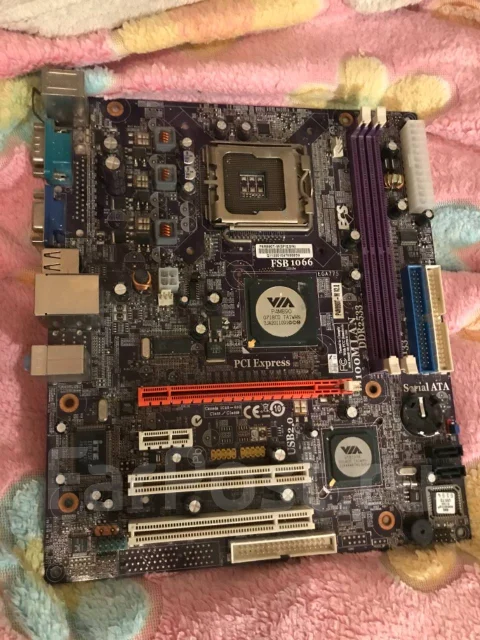 AMD ����