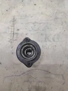 ������ ������� �������� ������ ������� Sudzuki 8 ����