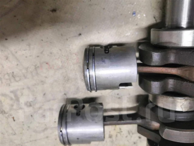 ������� ������ ������� Suzuki 5 ����