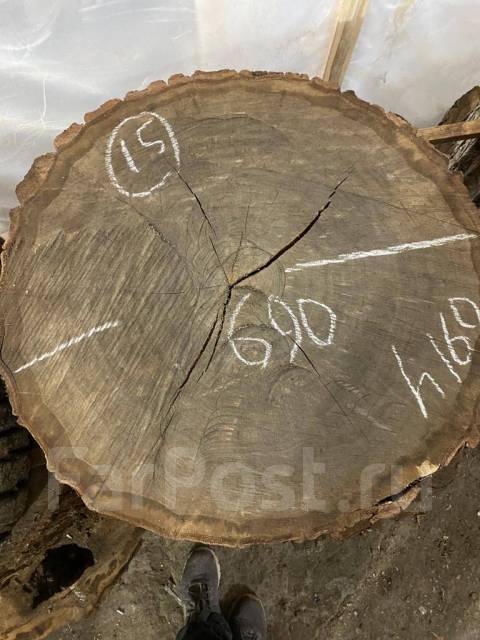 Слэб (поперечный спил) дуба №15 Д=690 мм - Пиломатериалы, изделия из ...