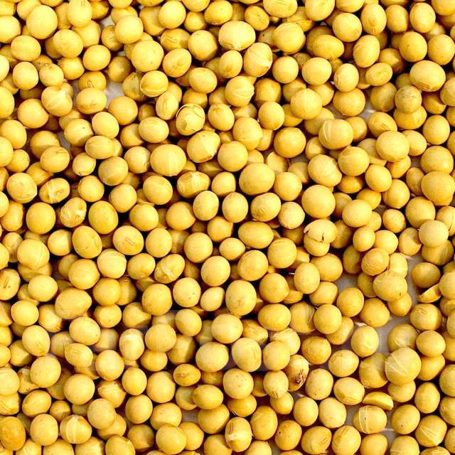 Соя зерновая культура. Сорта сои. Семена сои. Семена сои. Соя бобы.