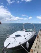 Crownline. ����� 8,16��., ��������� ������������, 350��.�., ������. ��� ����� �� ������������� ����