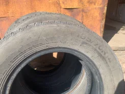 Annaite. ������, ��� �����, 2019 ���, �/�, ����� 50 % ����