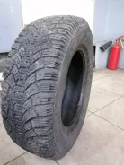 Accelera. ������, ����������, 2015 ���, �/�, ����� 20 % ����