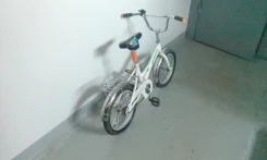 ����� ����